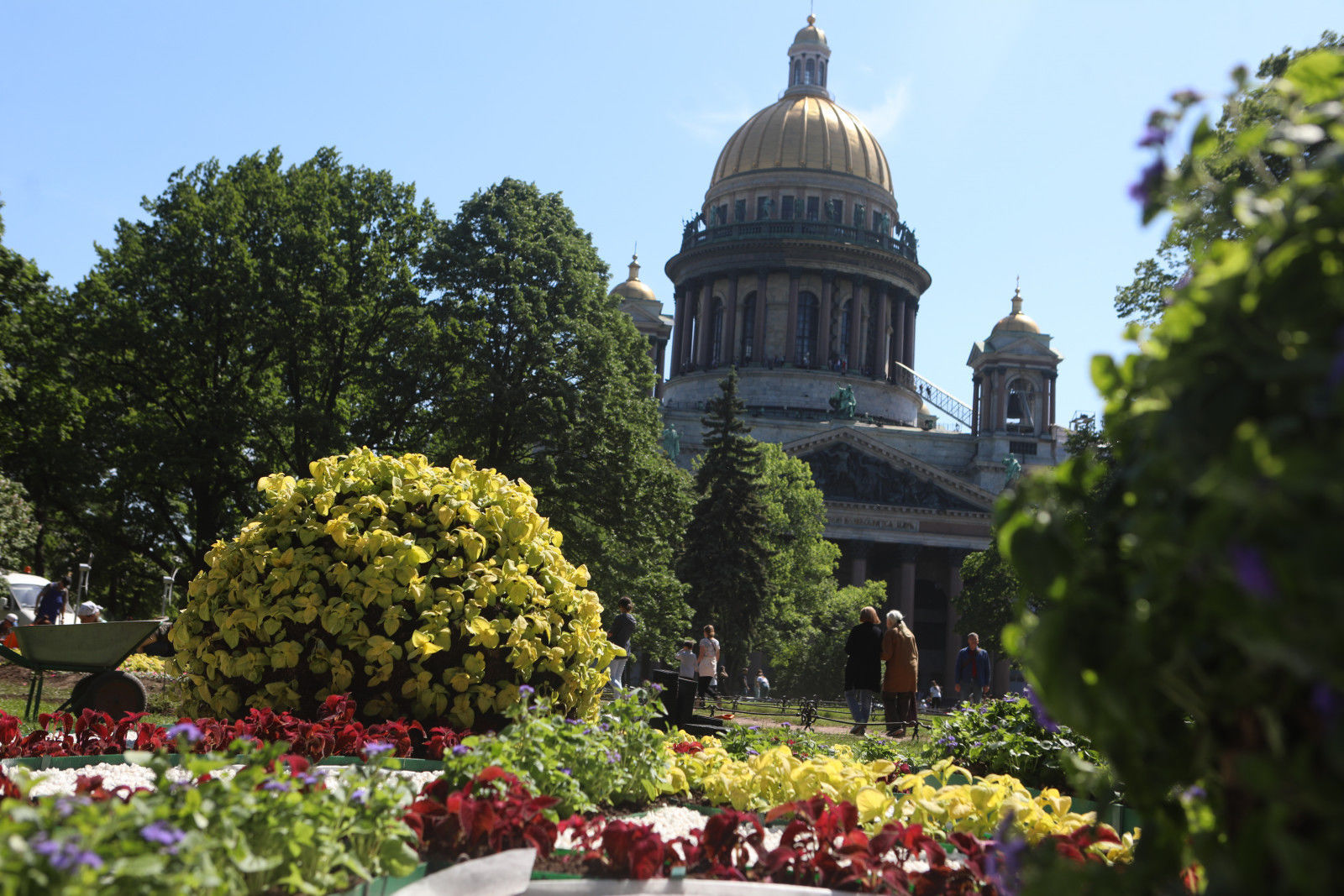 алексеевский сад санкт петербург